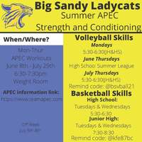 Ladycat Summer Workout Schedule 2021